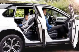 BeSafe Stretch auf der Rückbank